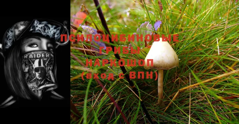 Псилоцибиновые грибы MAGIC MUSHROOMS  Воткинск 